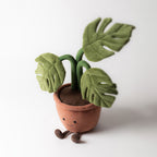 Amuseables Monstera Plant
