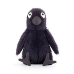 Hocus Crow