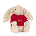 Franilla Luxe Bunny with Personalized Red Jumper
