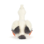 Keli Pelican