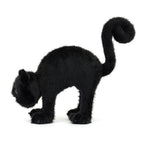 Spookipaws Cat