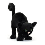 Spookipaws Cat