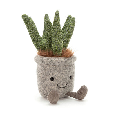 Silly Succulent Aloe